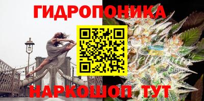 тгк Лесосибирск