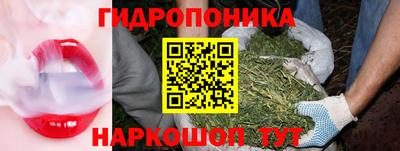 тгк Лесосибирск