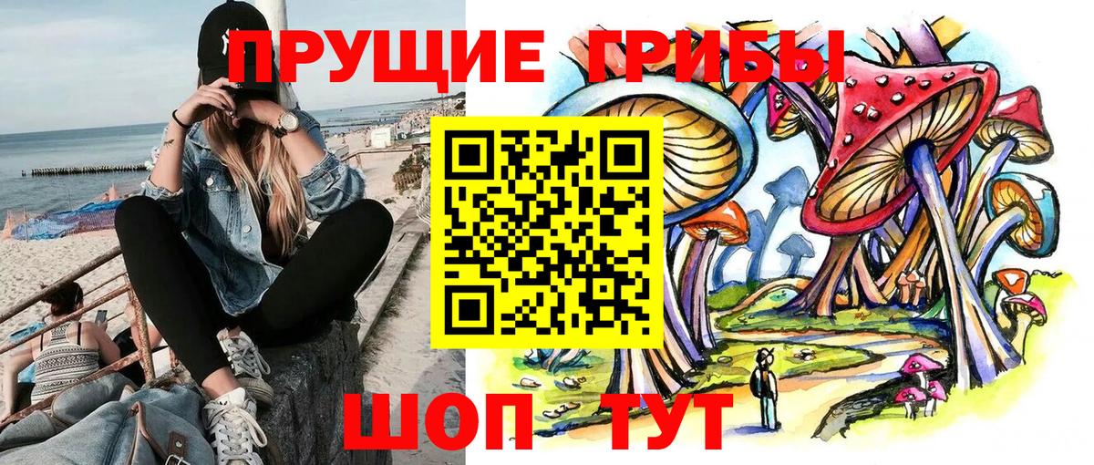 Галлюциногенные грибы ЛСД Губаха